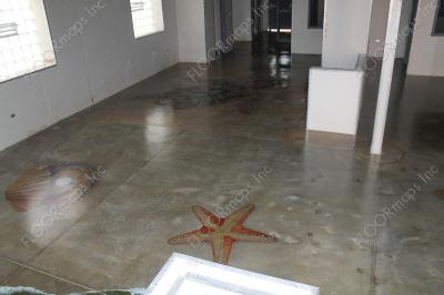 Aquarium themed creatures installed on a Polished Concrete Floor using dye and 3.4 mil vinyl finished with sealer.
