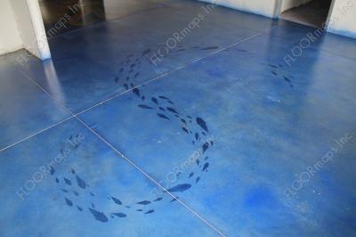 School of blue fish in a blue ocean installed on a Polished Concrete Floor using dye and 3.4 mil vinyl finished with sealer.